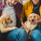 divorce mediation and pets